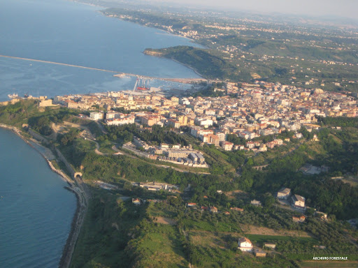 Ортона