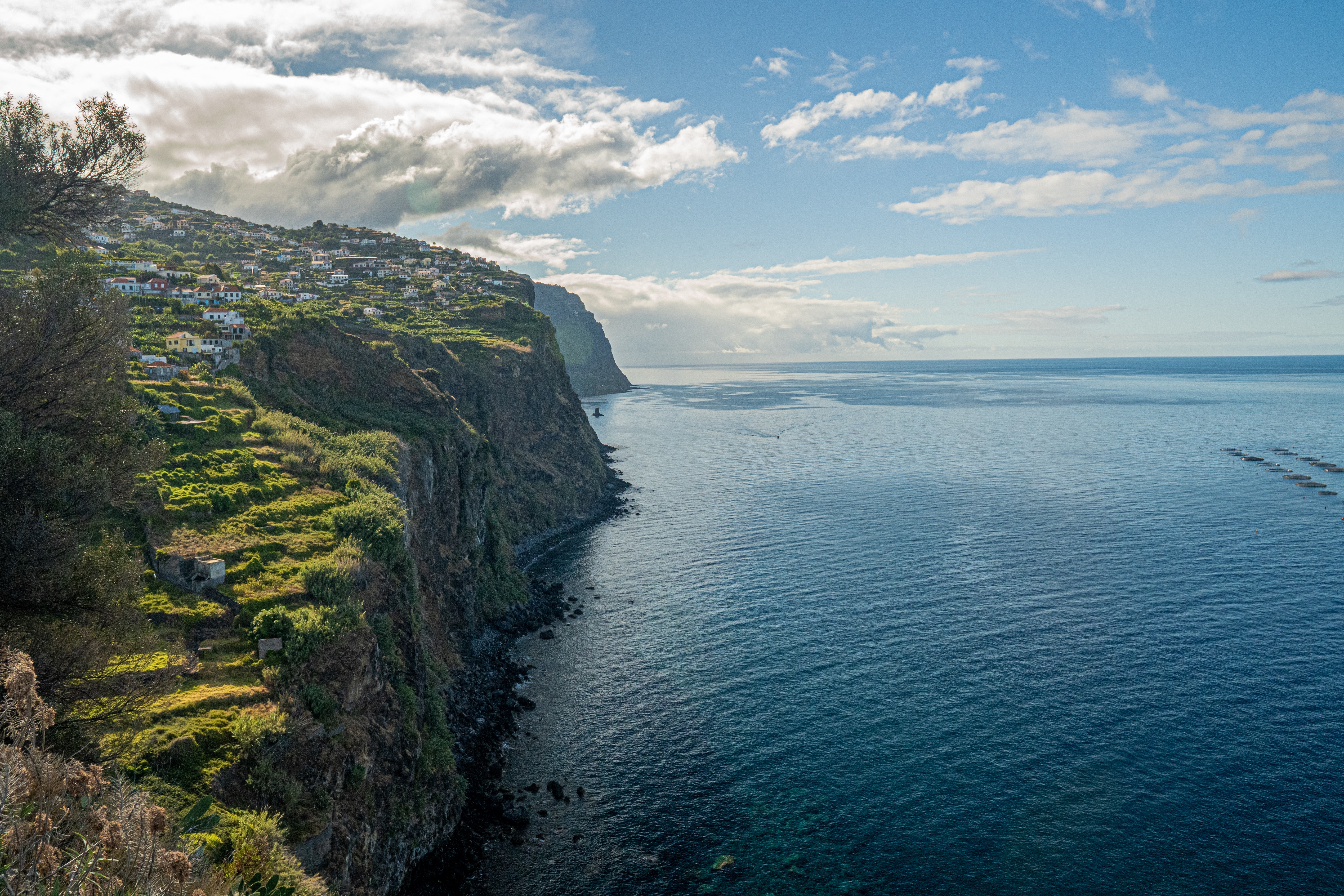 ekskurzia-madeira-webtours-екскурзия-мадейра-уебтурс
