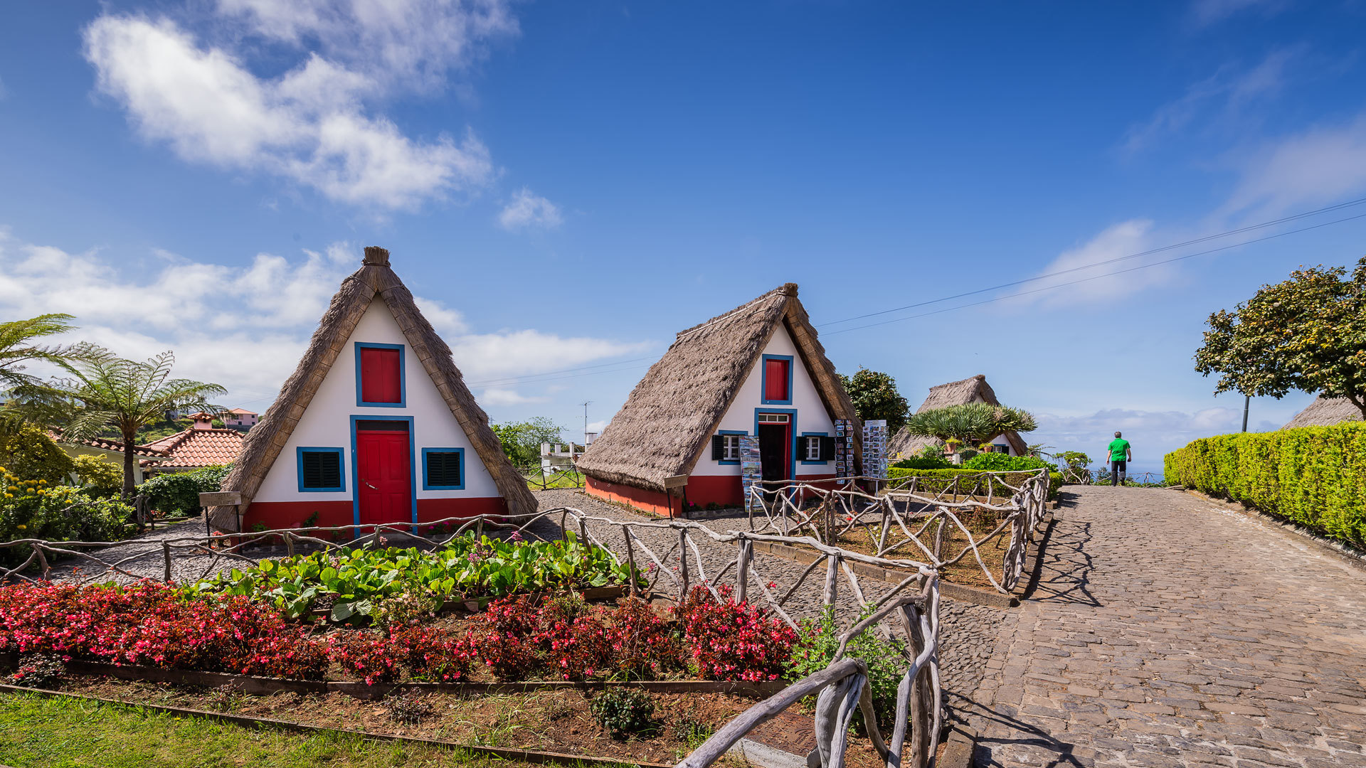 ekskurzia-madeira-webtours-екскурзия-мадейра-уебтурс